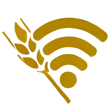 Starlink Rental Sask Internet Services